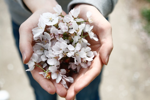 bouquet