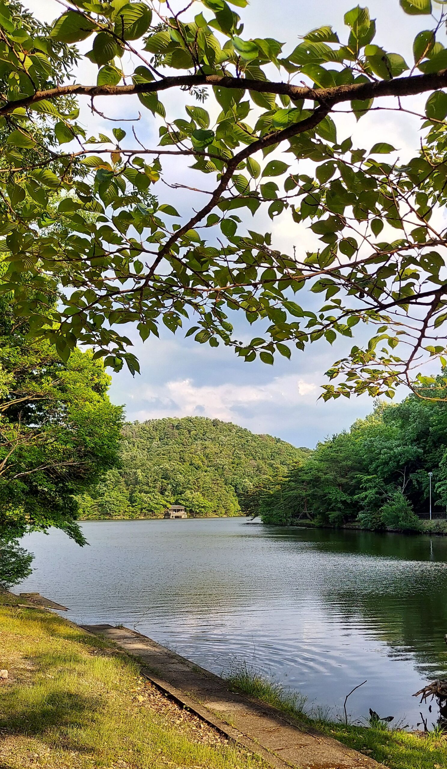 京都宝ヶ池