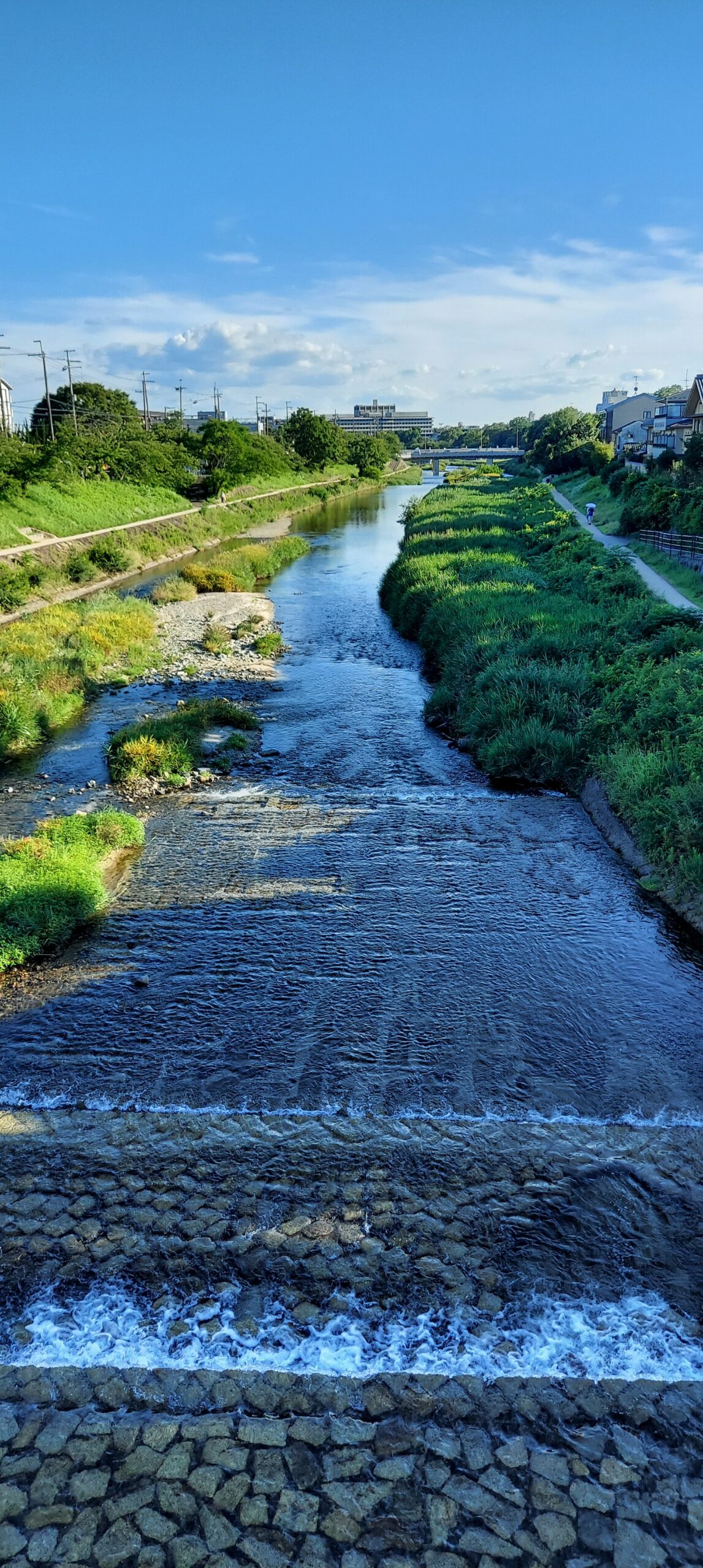高野川の写真