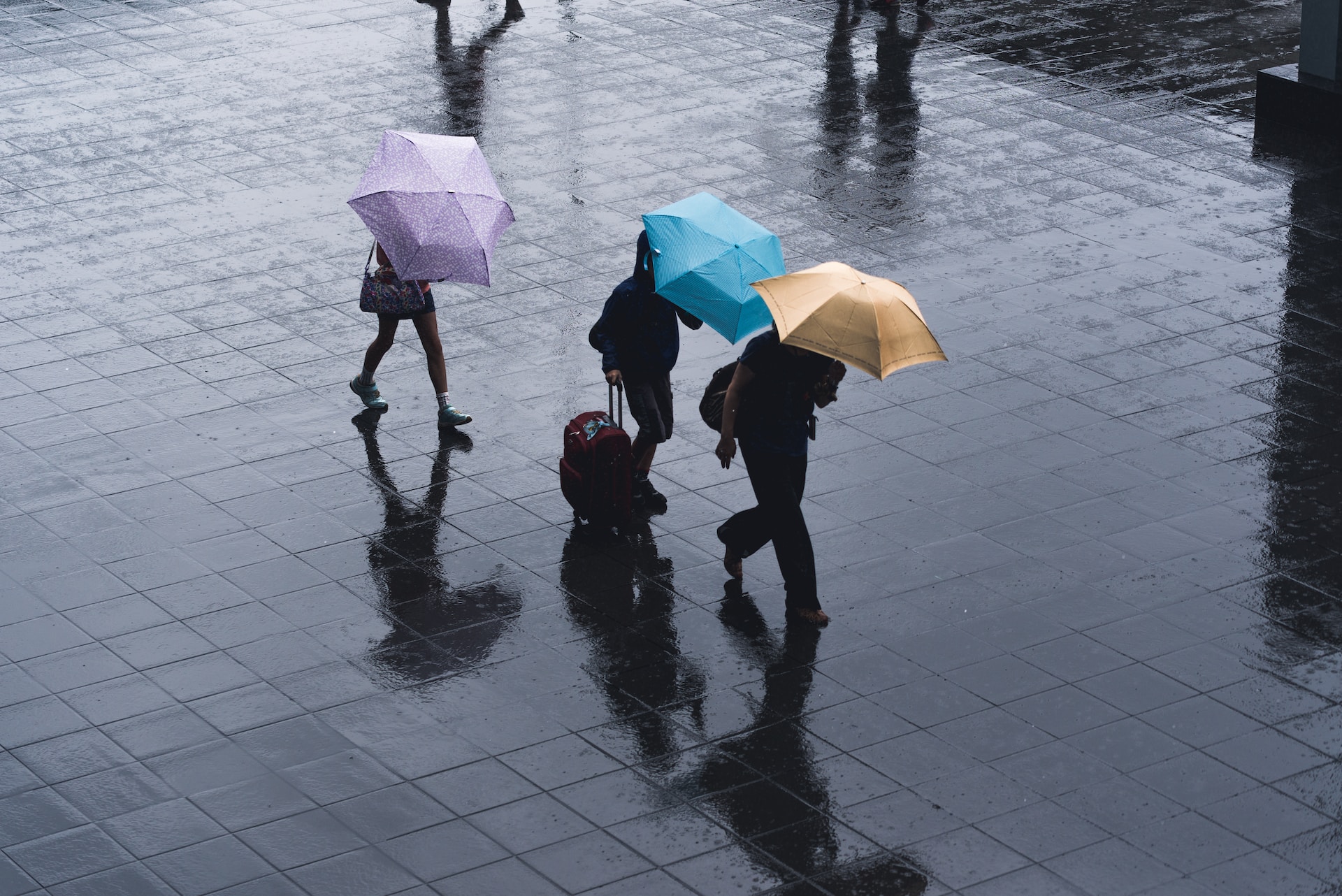 雨